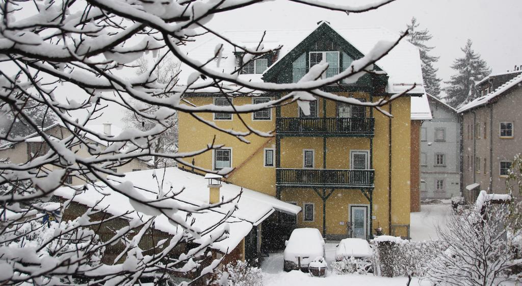 Riedz Innsbruck- Zentrales Apartmenthaus Mit Gruener Oase Apartment