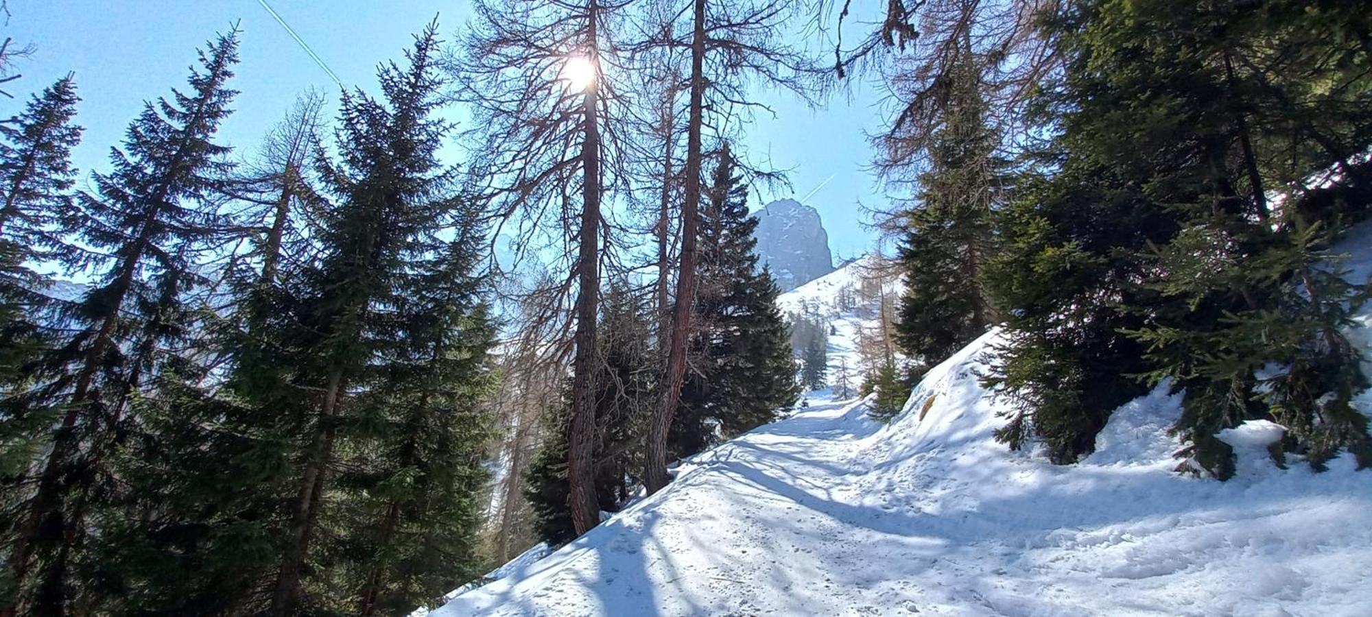 Goetzner Auszeit Innsbruck
