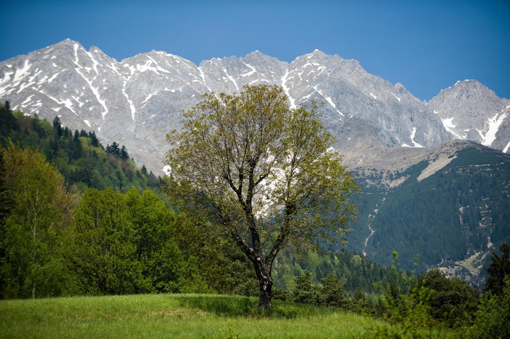 Kasperhof 6 - 7 * Innsbruck