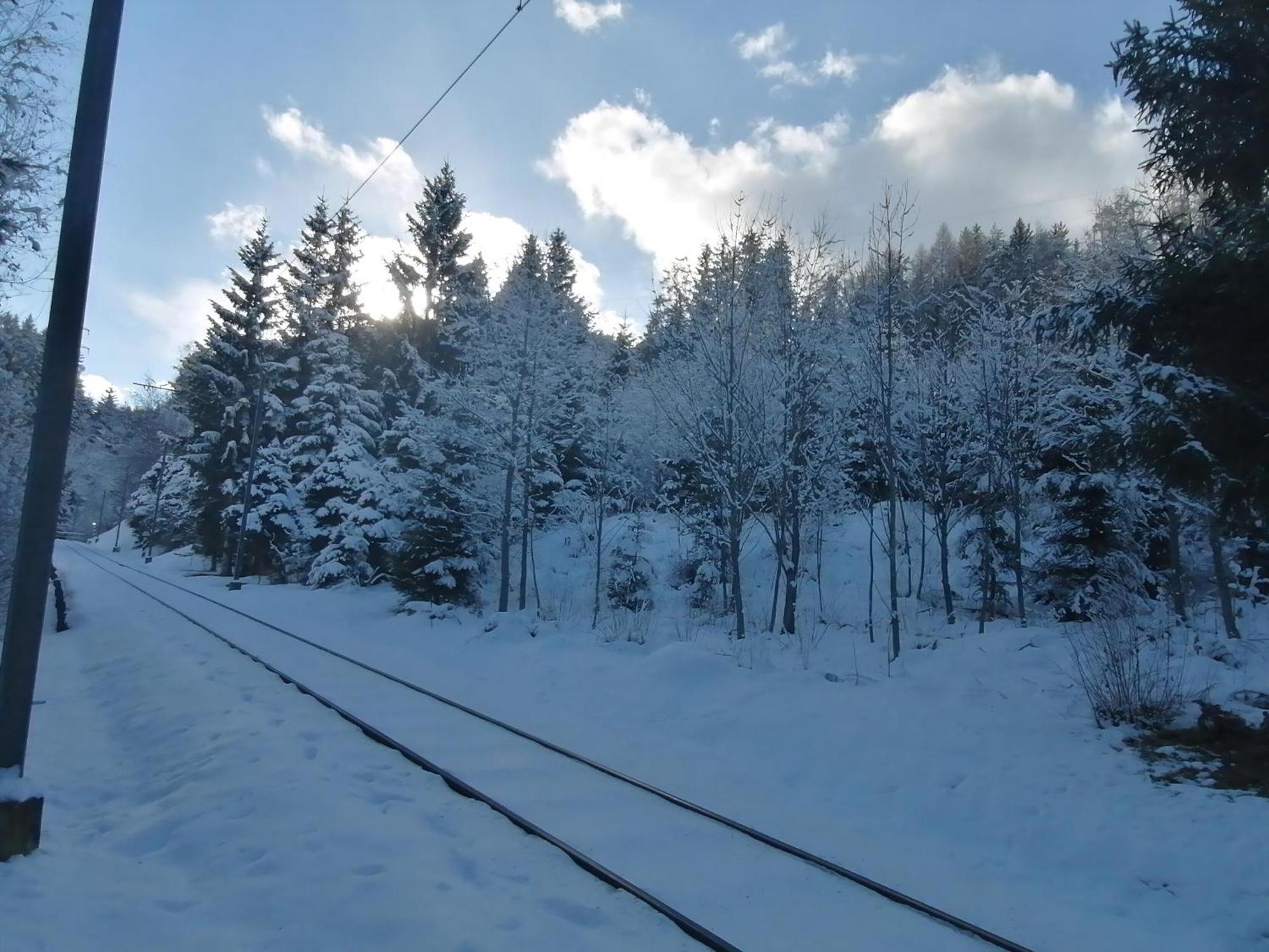 Riedbach In Mutters Innsbruck