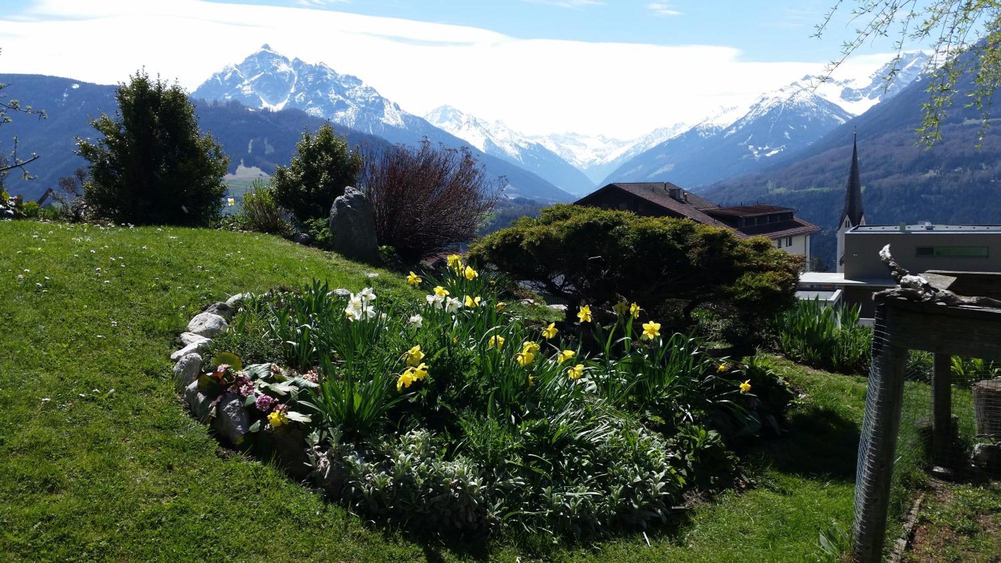 Tiroler Alpenhof * Innsbruck