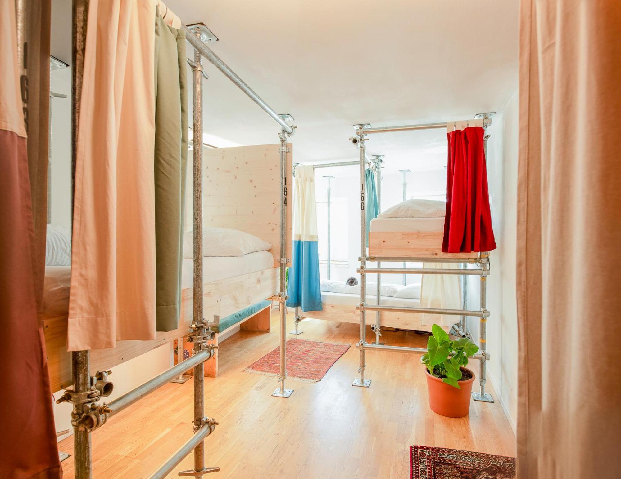 Hostel Montagu *