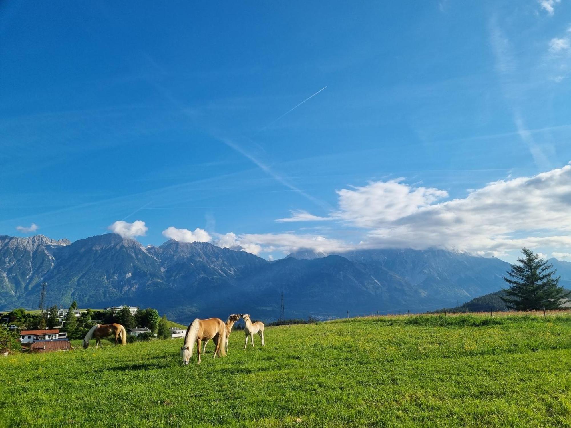 Uriges In Der Alten Schmiede * Innsbruck
