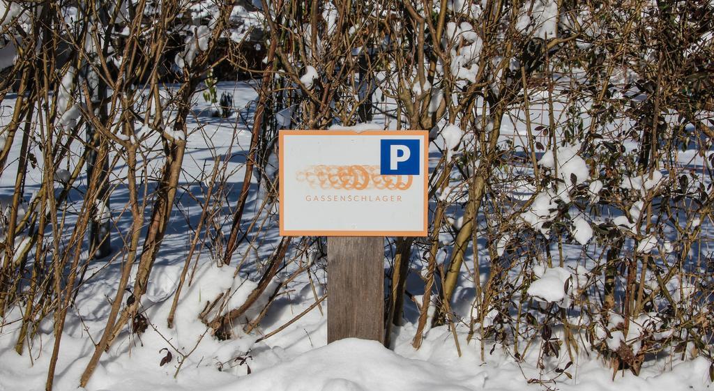Riedz Innsbruck- Zentrales Apartmenthaus Mit Gruener Oase Apartment Innsbruck