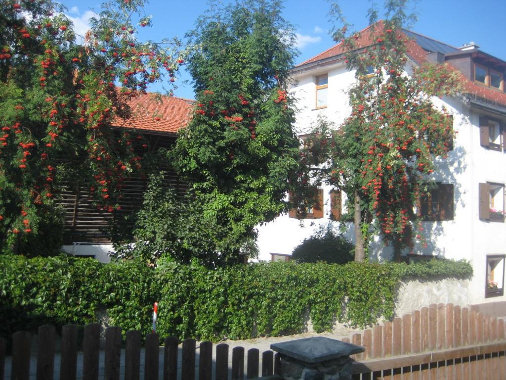 Anton Und Edith Zimmermann *