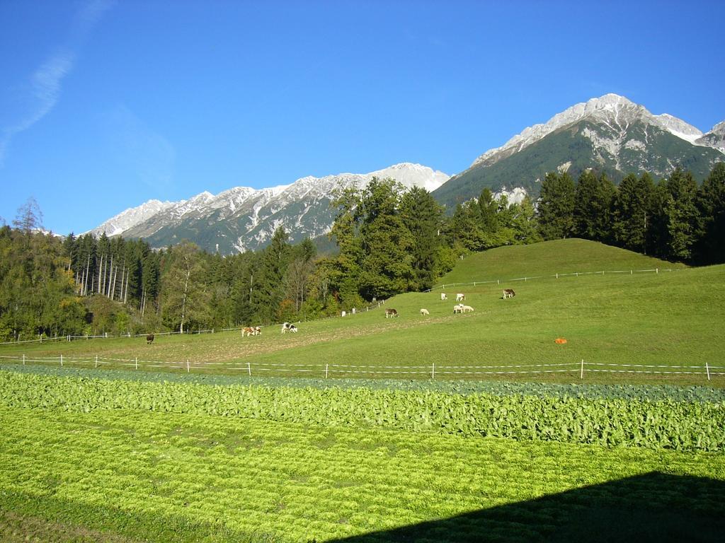 Apartment Karlhof Innsbruck