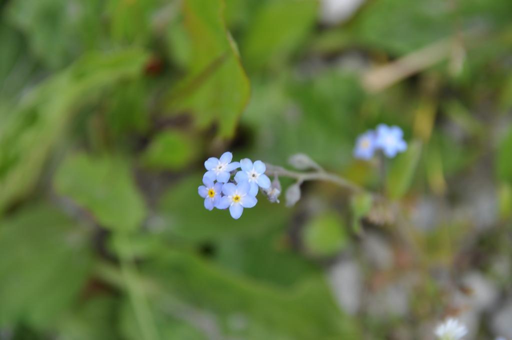 Hoarachhof Alloggio per agriturismo *