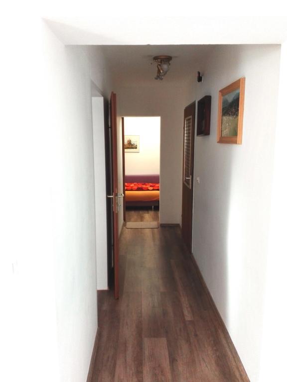 Haus Fink Apartment