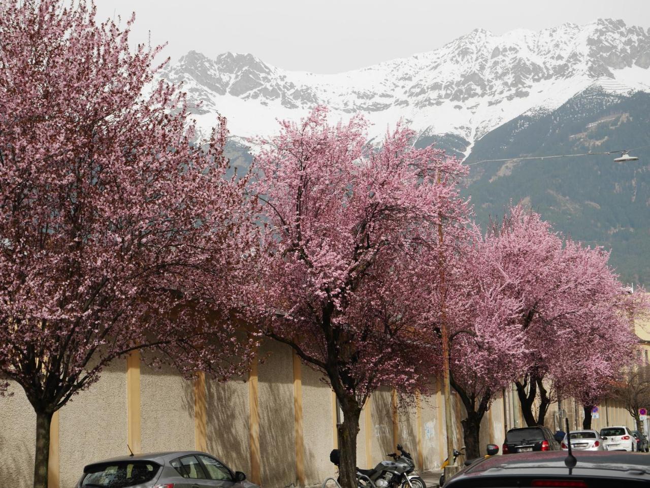 Apartment S14 - Rooms & Apartments Innsbruck