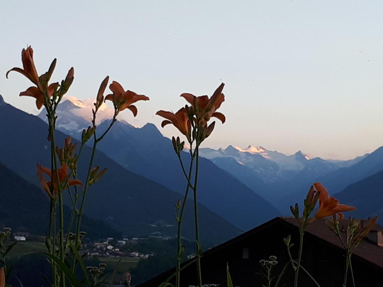 Tiroler Alpenhof Apartment