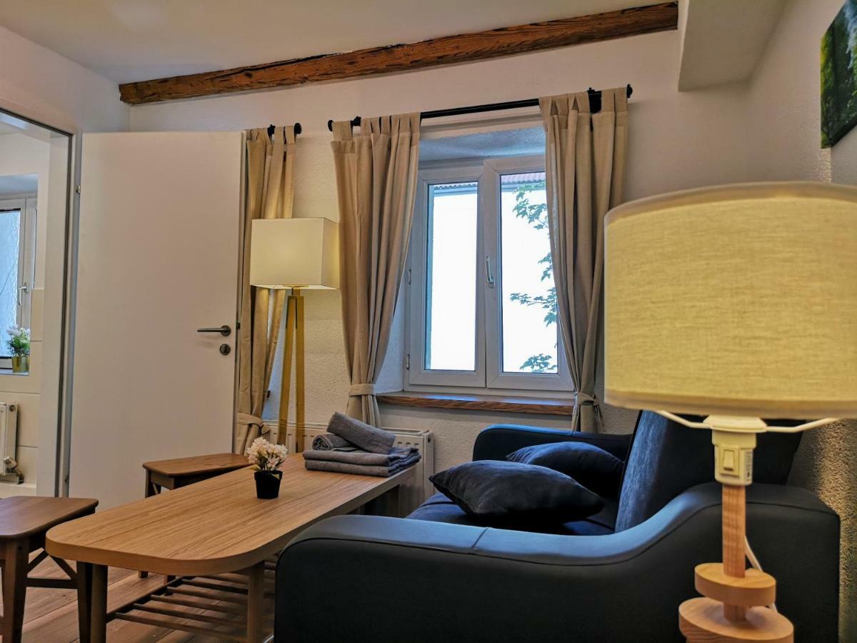 Deluxe Town Studio Apartment