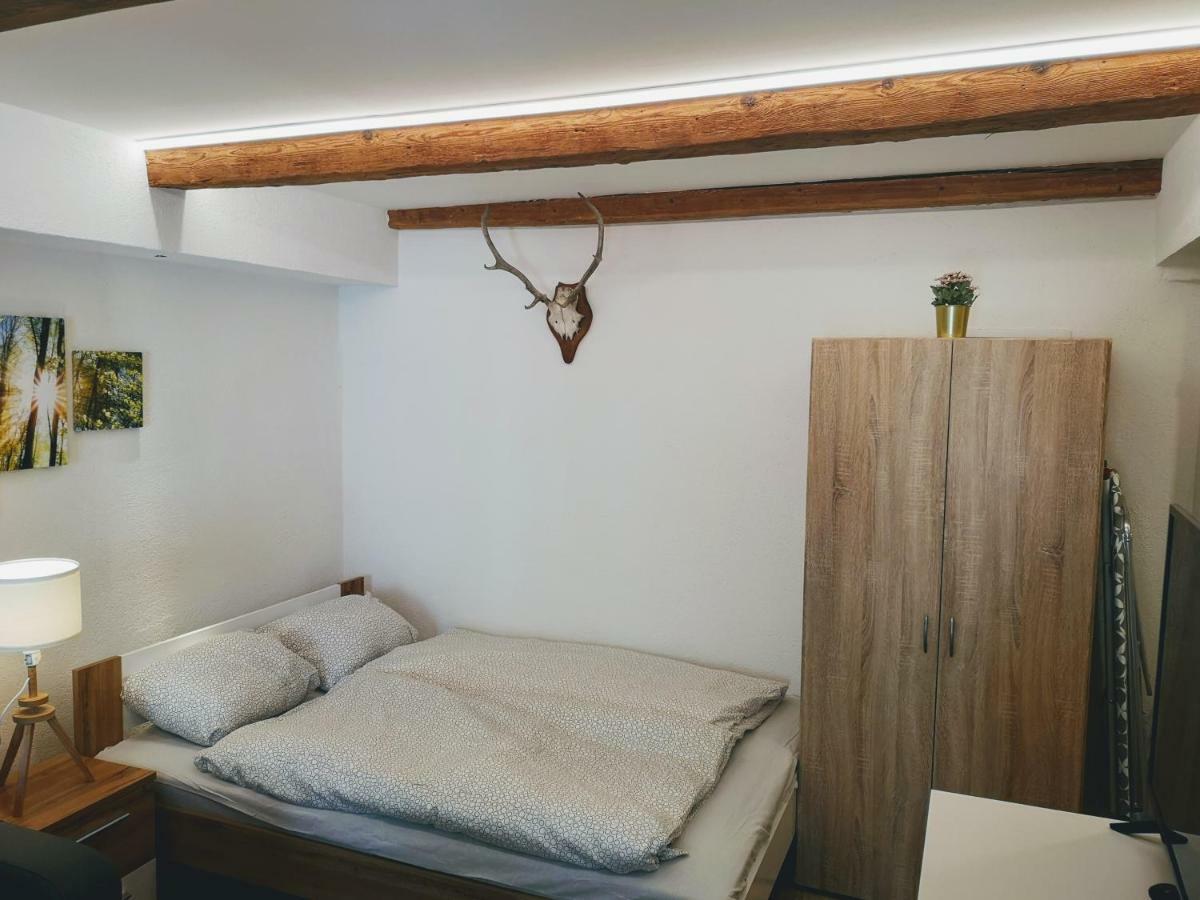 Deluxe Town Studio Apartment *