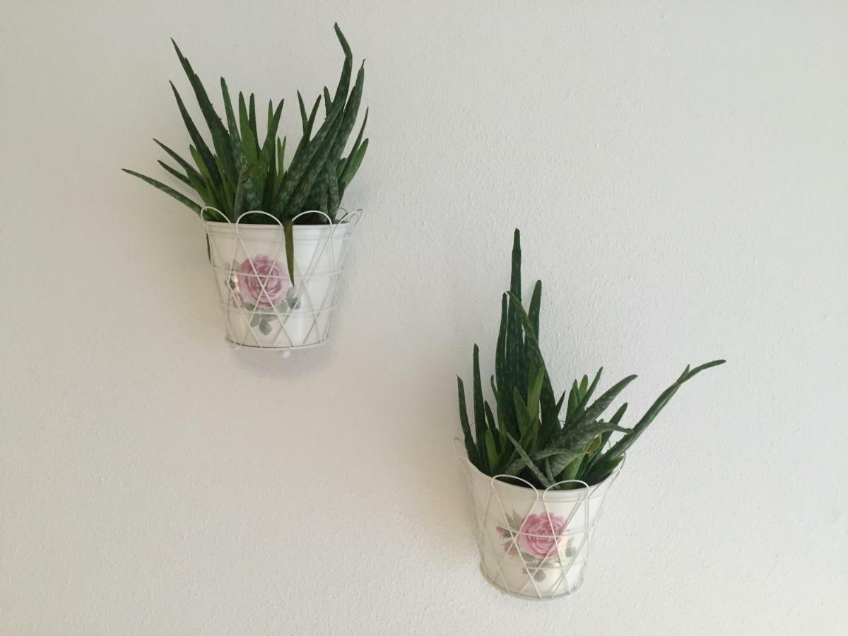 Nigler Apartment *