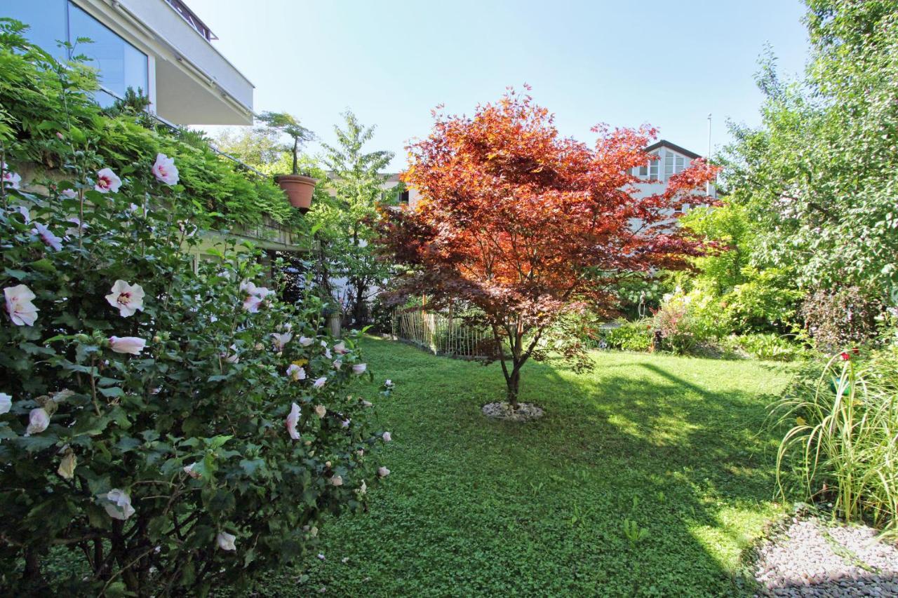 Nigler Apartment