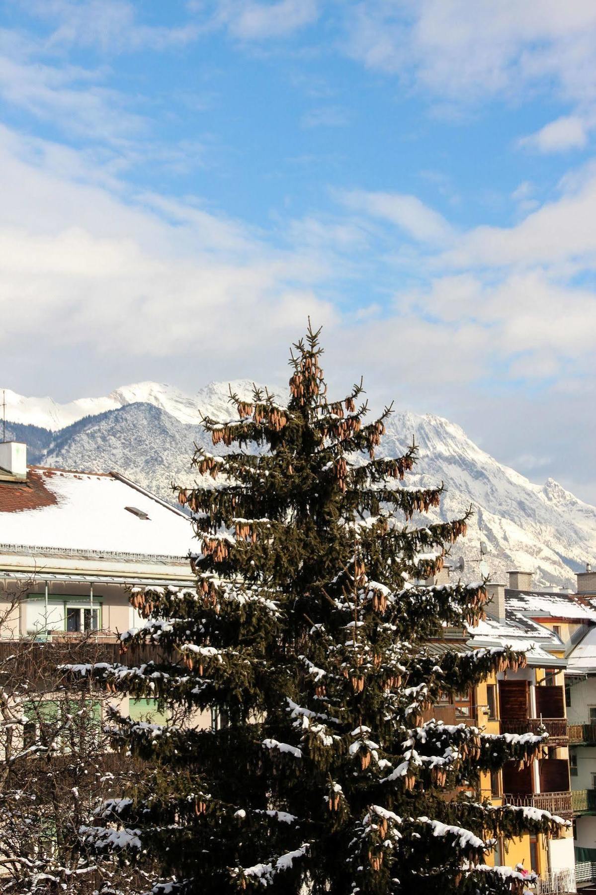 S14 & Innsbruck